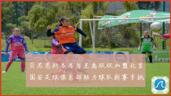 贝尼恩科洛洛与王禹双双加盟北京国安足球俱乐部助力球队新赛季挑战